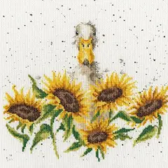 Bothy Threads Sunshine Counted Cross Stitch Kit