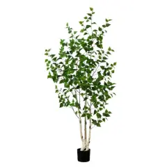 6ft. Potted Green Artificial Birch Tree with Real Touch Leaves