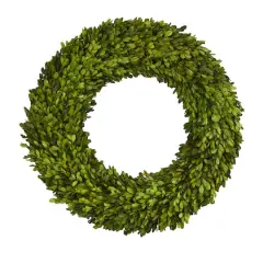 24" Green Preserved Boxwood Wreath