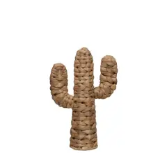 11.75" Water Hyacinth Cactus Tabletop D&eacute;cor by Ashland&reg;