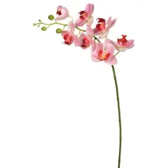 Real Touch&trade; Pink Moth Orchid Stem
