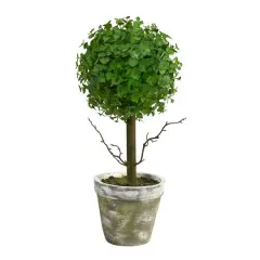 20" Potted Eucalyptus Single Ball Topiary Tree