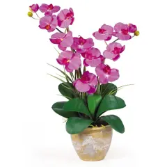 25" Double Phalaenopsis Silk Orchid Flower Arrangement in Ceramic Pot