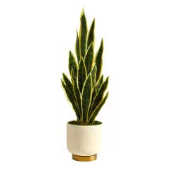 3ft. Snake Plant in Cream Planter with Gold Base