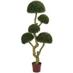 5ft. Potted Boxwood Tree