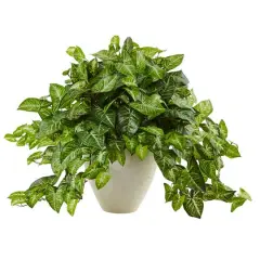 2ft. Nephthytis Artificial Plant in White Planter