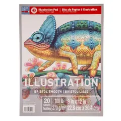 Bristol Smooth Illustration Pad by Artist's Loft&trade;, 9" x 12"
