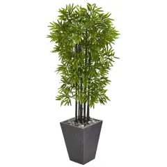 5ft. Bamboo Tree with Black Trunks in Slate Planter