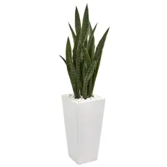 4ft. Sansevieria Plant in White Tower Planter