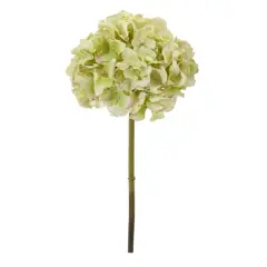 19" Hydrangea Stem, 6ct. Light Green