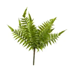 Boston Fern Bush by Ashland&reg;