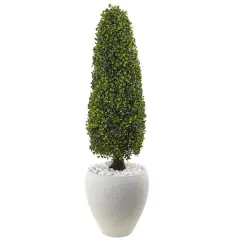 3.5ft. Boxwood Topiary in Textured White Planter
