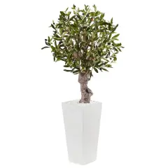 3.5ft. Olive Tree in White Tower Planter