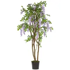 5ft. Potted Wisteria Tree