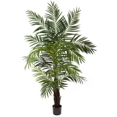 6ft. Potted Green Areca Palm Tree