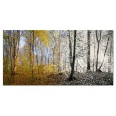 Designart - Yellow Morning in Forest Panorama - Landscape Canvas Art Print