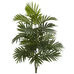 30" Areca Palm Plant, 3ct.