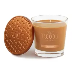 Root Candles 6.3oz. Small Scented Honeycomb Veriglass Jar Candle Macaron