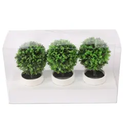 6.75" Premade Green Boxwood Ball Topiaries in Plastic Pots, 3ct. by Ashland&reg;