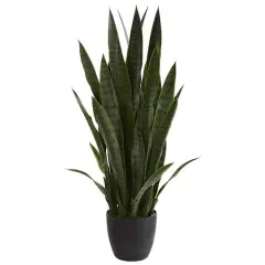 3ft. Potted Green Snake Plant