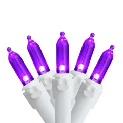 50ct. Mini LED Christmas Lights Purple