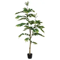 6ft. Potted Green Nandina Tree