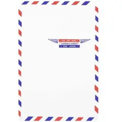 JAM Paper 6" x 9" White Open End Catalog Airmail Envelopes