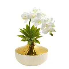 12" Moth Orchid & Agave Arrangement in Decorative Vase White