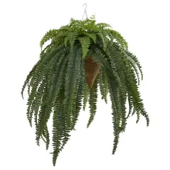 50&rdquo; Giant Boston Fern in Hanging Cone Basket
