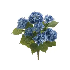 Blue Hydrangea Bush