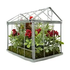 9" Red & Green Cardinal Boxwood Artificial Christmas Greenhouse Arrangement