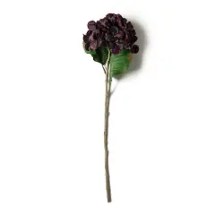 Black & Purple Hydrangea Stem by Ashland&reg;