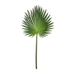 Tropical Fan Palm Stem by Ashland&reg;