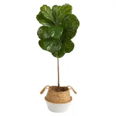4ft. Fiddle Leaf Artificial Tree in Boho Chic Handmade Cotton & Jute White Woven Planter UV Resistant (Indoor/Outdoor)