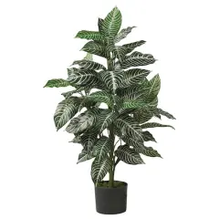 3ft. Potted Zebra Plant