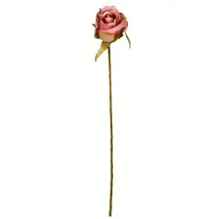 Mauve Rose Stem, 12ct.