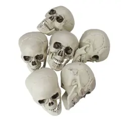3.5'' Skull Head Halloween Decorations, 6ct.