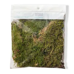 Forest Green Preserved Moss by Ashland&reg;