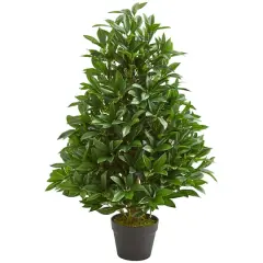 3ft. Potted Bay Leaf Cone Topiary Tree