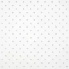 Silver Dot Transparent Packaging Wrap by Celebrate It&trade;