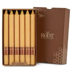Root Candles 9" Unscented Timberline&trade; Arista&trade; Taper Candles, 12ct. Mandarin