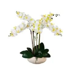 23" Orchid Arrangement in White Ceramic Planter