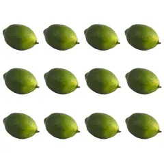 $product['description']['title']}