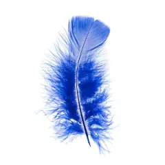 $product['description']['title']}