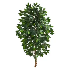 4ft. Single Ficus Tree