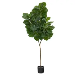 6ft. Potted Fiddle Leaf Fig Tree