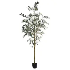 8ft. Potted Olive Tree