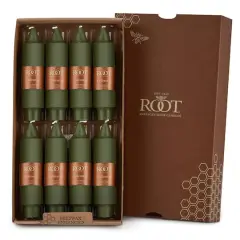 Root Candles 5" Unscented Smooth Collenette Taper Candles, 8ct. Dark Olive