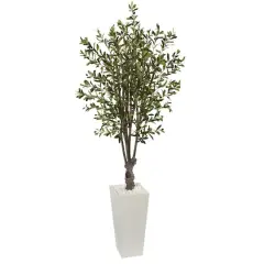 6ft. Olive Tree In White Tower Planter