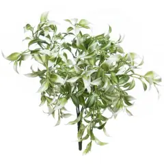 13" White Ruscus Bush by Ashland&reg;